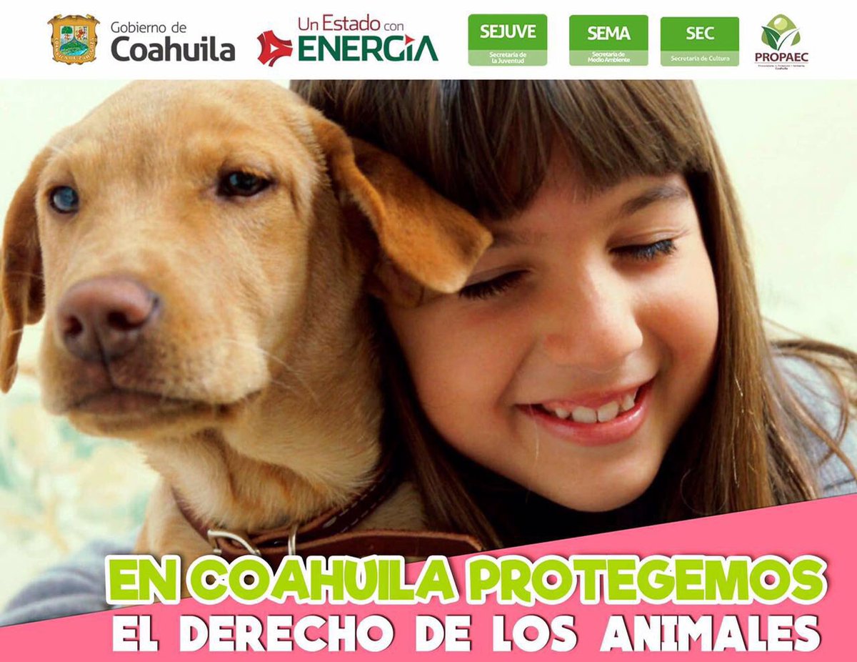 rubenmoreiravdz's tweet image. Día mundial de los animales #CoahuilaAnimalista @GobDeCoahuila @SEMACoahuila @SEJUVECoahuila @CulturaCoahuila @SEMARNAT_mx