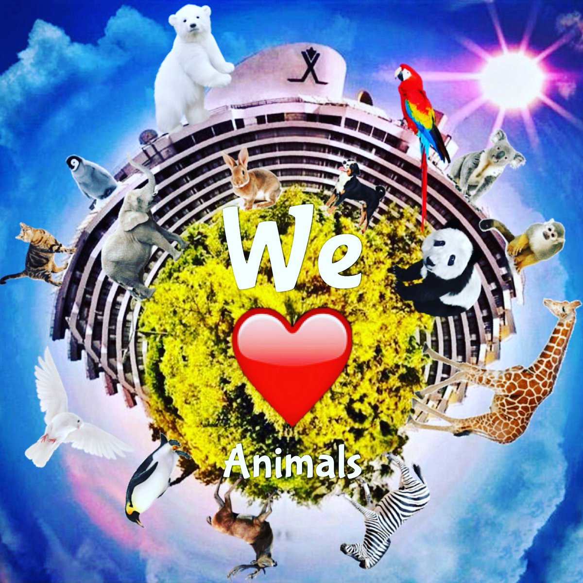 Hayvanları Seviyoruz! Hayvanları Koruma Günü kutlu olsun! ❤️😊🐶🐼🐨🐒🐥🐘🐕 We Love Animals! Happy World Animal Day! #rixos #WorldAnimalDay