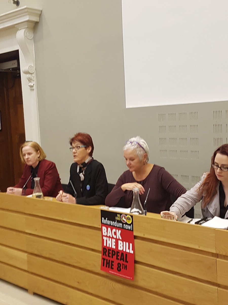 paulmurphy_TD's tweet photo. "Why are women's wombs in the constitution? Nobody else's body parts are in the constitution!" @ailbhes https://t.co/u9UaHVcvKS