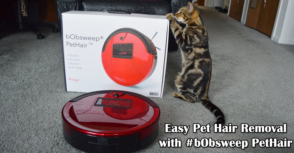 ThePlayfulKitty's tweet photo. What do you use to remove cat hair? I'm using #bObsweepPethair from @mybObsweep ! #cats #ad #HappySweeping https://t.co/0qCrscUxo0 https://t.co/PSjze50lfd