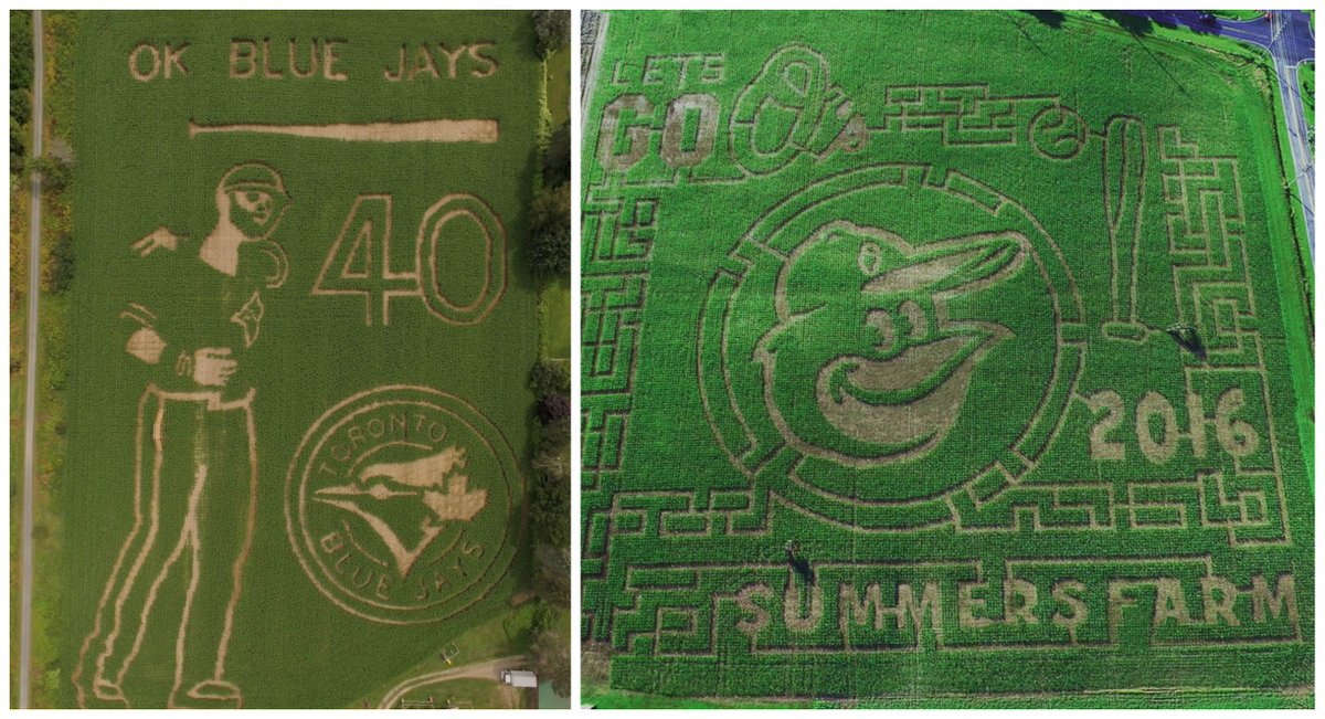 Challenging our friends <a href="/SummersFarm/">Summers Farm</a> to a friendly bet. Whosever team loses tonight has to wear the winning jersey at their maze for a day!