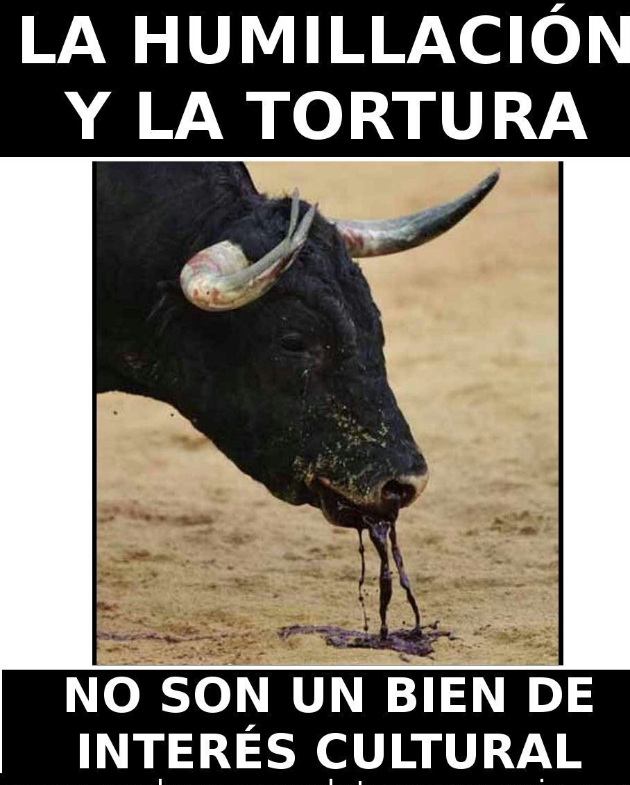 sumalen59's tweet photo. Un país,  una civilización se puede juzgar por la forma en qué  trata a sus animales #DiaMundialdelosAnimales 
#StopTauromaquia https://t.co/NWtTOOz954