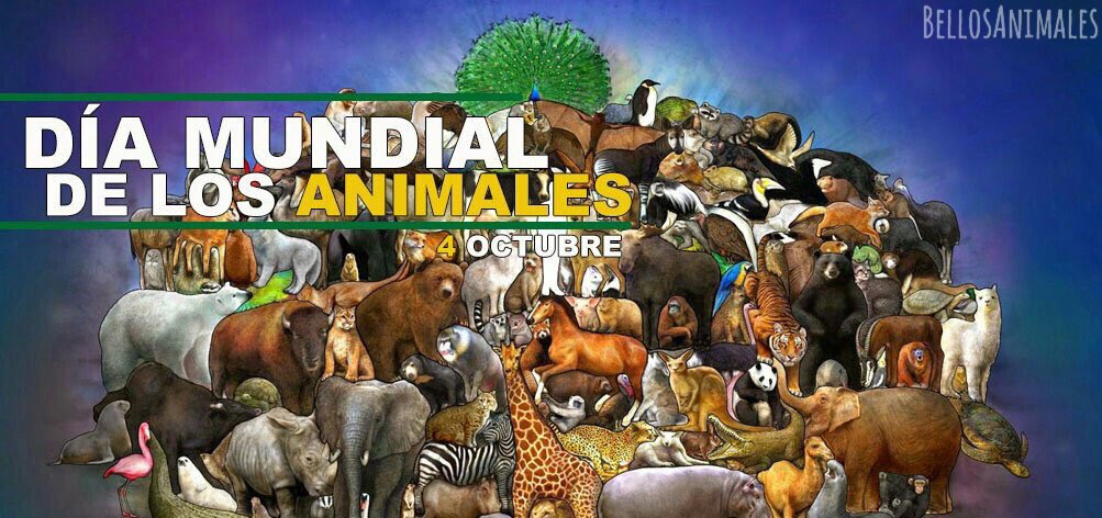 BellosAnimales's tweet photo. Buenos días, amiguines, ¿saben qué día es hoy?
#DiaMundialdelosAnimales
🐶🐱🐹🐰🐻🐼🐨🐯🦁🐮🐷🐸🐵🐔🐧🐴🐺🐟🐢🐬🐳 https://t.co/zudFtTTRBw