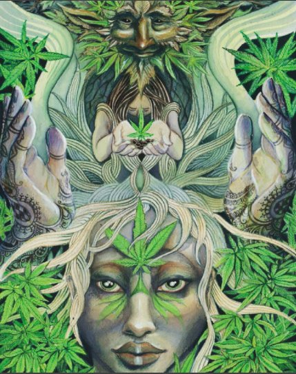 Tonight we're teaming up with <a href="/HemporiumSA/">Hemporium SA</a> to bring you an entire talk about HEMP!
#superfoods #hemp #hemporium #capetown