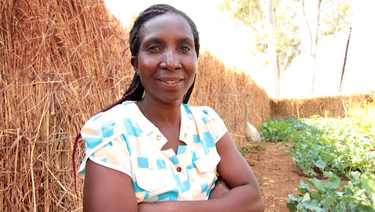Here's how families in #Zambia are dodging a drought through WFP #R4Resilience wfp.org/stories/how-do…