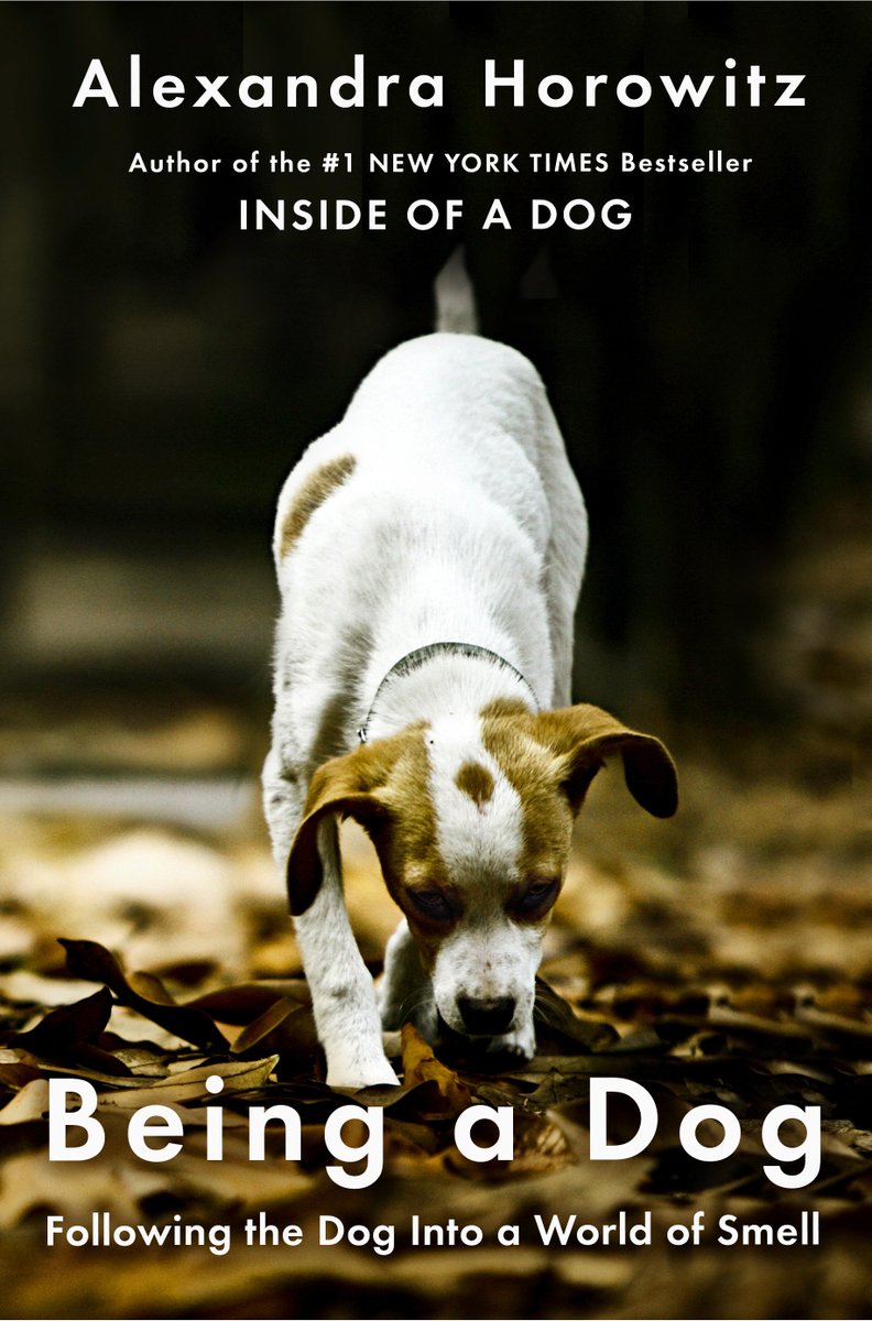 DogUmwelt's tweet image. !!!! Publication day !!!!

welcome to the world, Being A Dog

alexandrahorowitz.net/Being-a-Dog