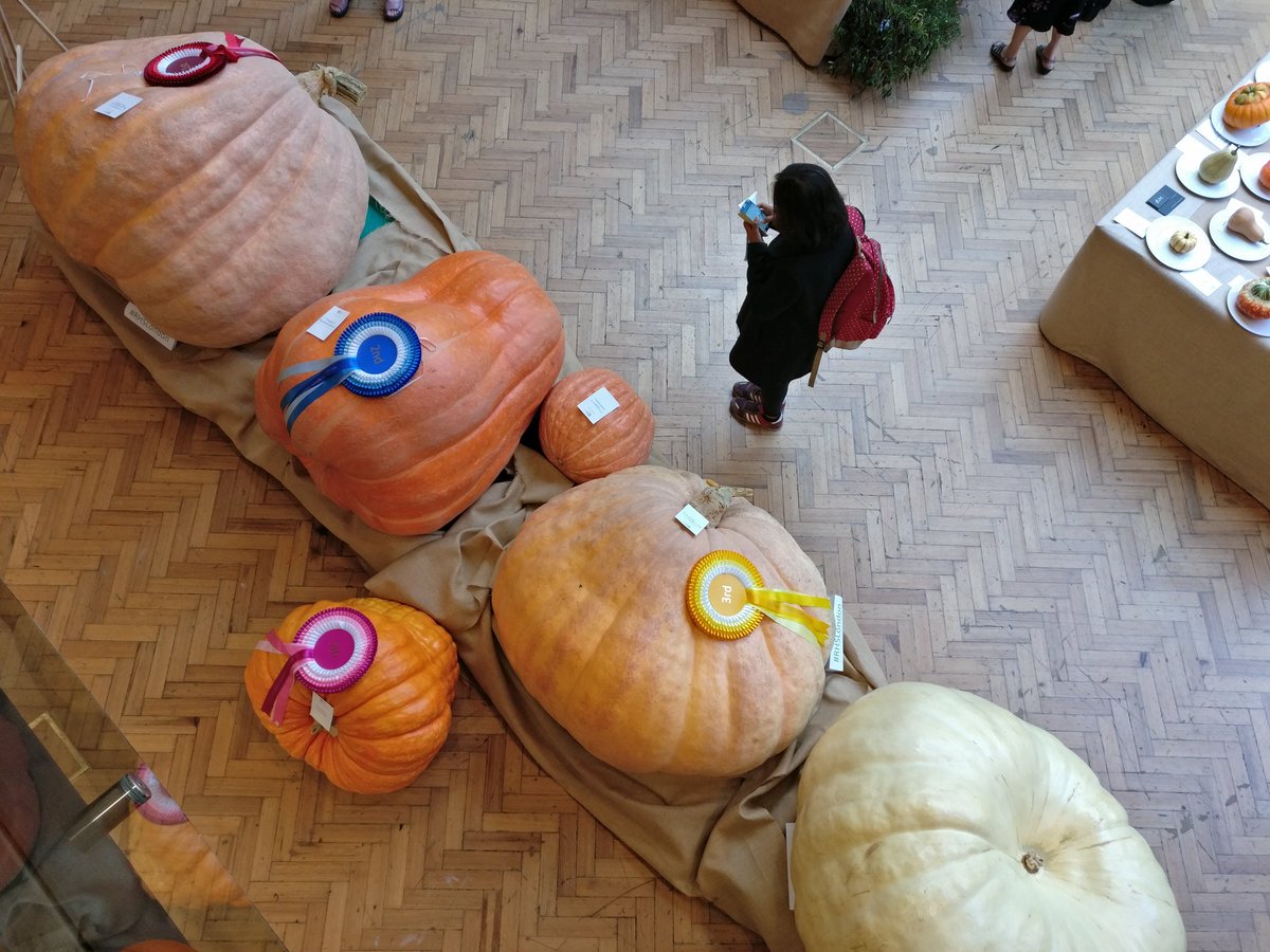 60rl's tweet image. Best rush back to my desk a bit sharpish, lest I get turned into one of these #rhslondon