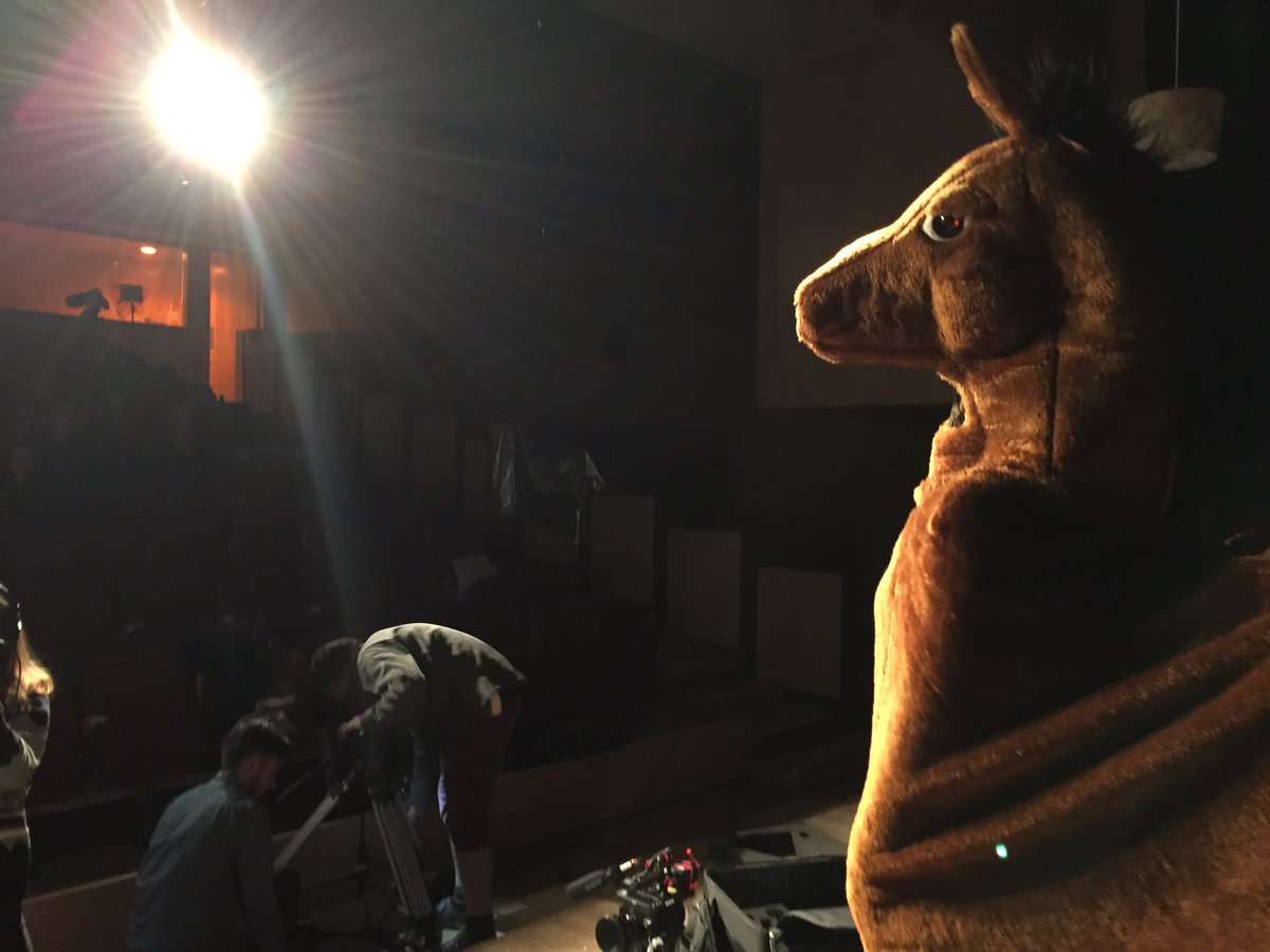 colinthePH's tweet photo. Colin's ready for his close-up --- it's the first day of filming! Be sure to keep up with his journey over the next few days! #colinlives https://t.co/O681JoEgZN