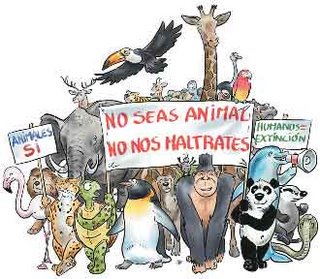 arturosantand10's tweet photo. #FelizMartes Buenos días! #4oct #DiaMundialDeLosAnimales ellos sienten igual que nosotros trátalos con respeto y amor! https://t.co/BlszuYslam