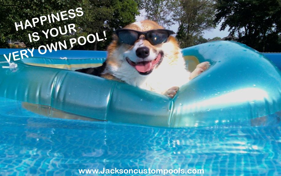 SWFLPoolBuilder's tweet image. #happiness is your very own pool! give us a call today to start building your #dream @ndn @FoxNews @GMA