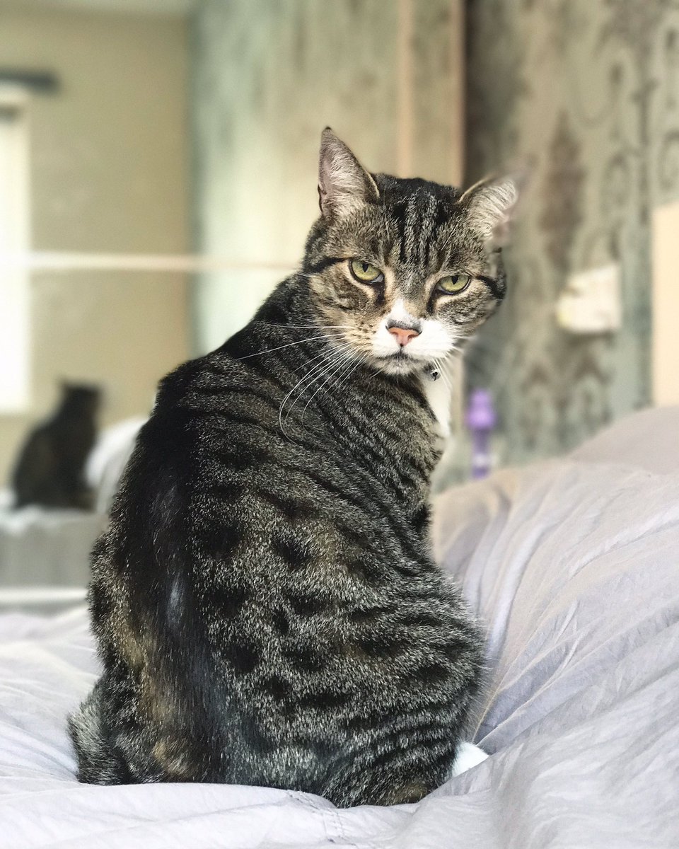 cyberchickgeek's tweet image. #iphone7pluscamera #portraitmode 😍👌🤓