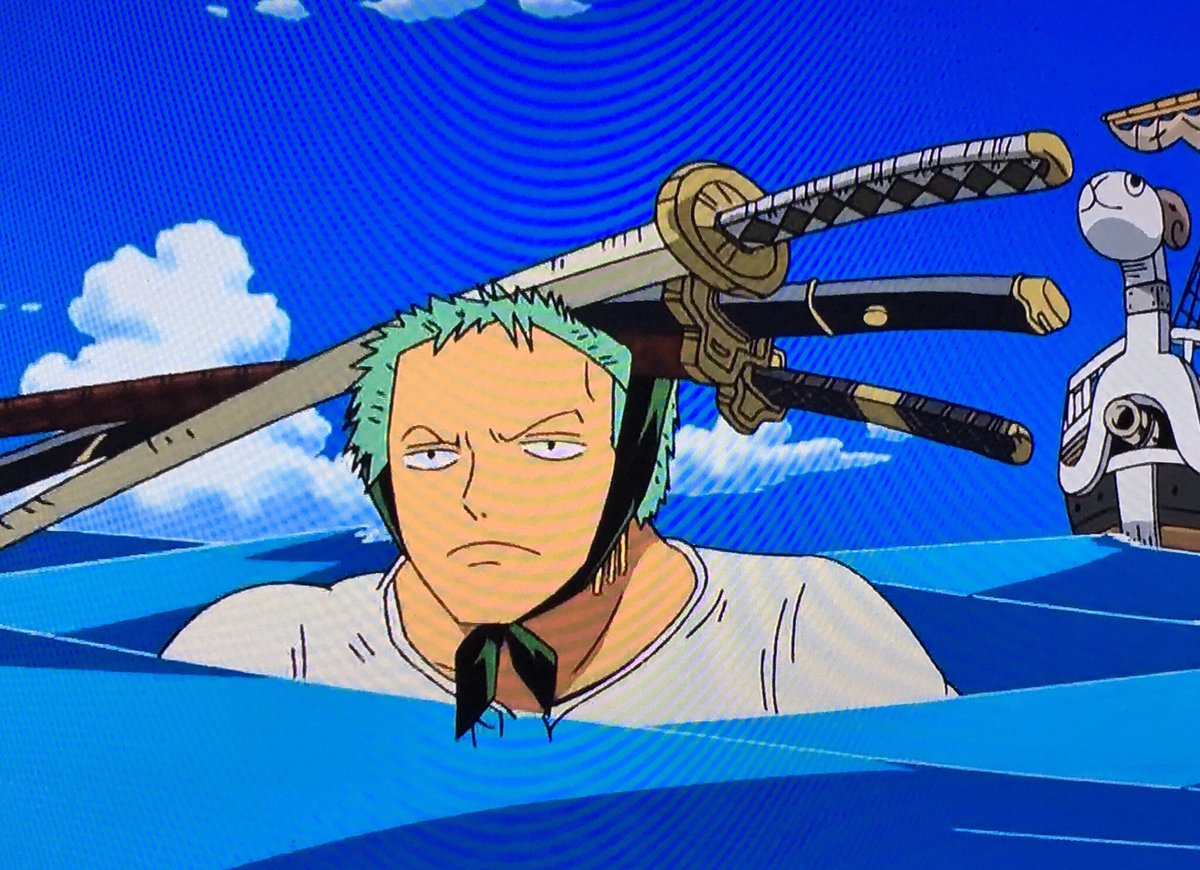 アナ ゾロは水中で刀を使いすぎ あんなのすぐ錆びちゃうよ もっと大切にしろ とツッコむ方々へ この健気なゾロを見てどうにか許してやってくださいませんか