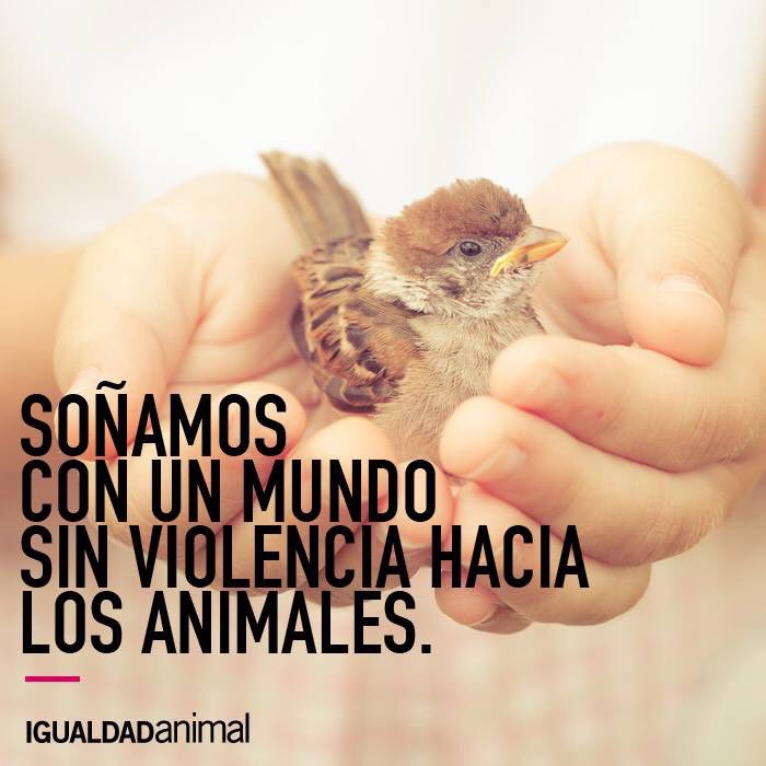 Sueño con un mundo mejor, me ayudas a lograrlo? Está en nuestras manos.
#DiaMundialdelosAnimales
