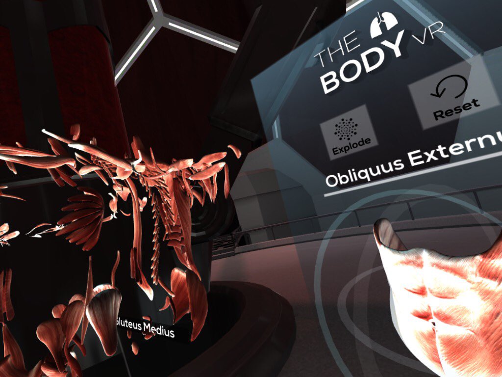 pata_sir's tweet photo. はー？ #theBODYvr #HTCVive https://t.co/VKNTVdKLE5