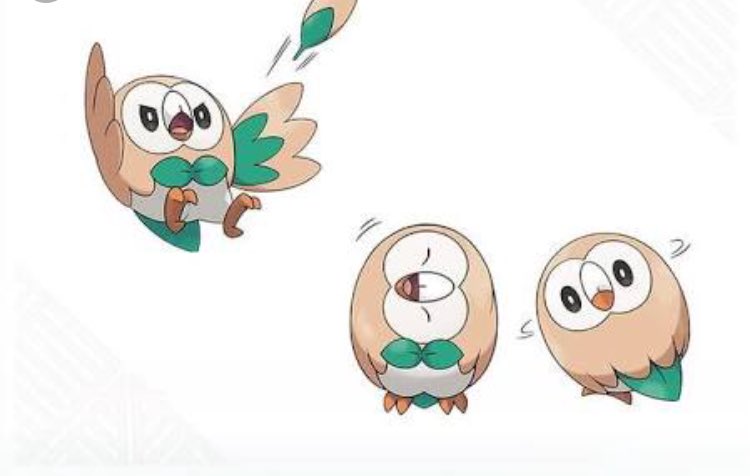 なかば Twitterren モクロー 俺は最後まで信じてたかったよ 御三家発表時から可愛い御三家ポケモンは最終進化 したらキモくなるって言われ続けてたけど第一進化でもうすでにキツイよ