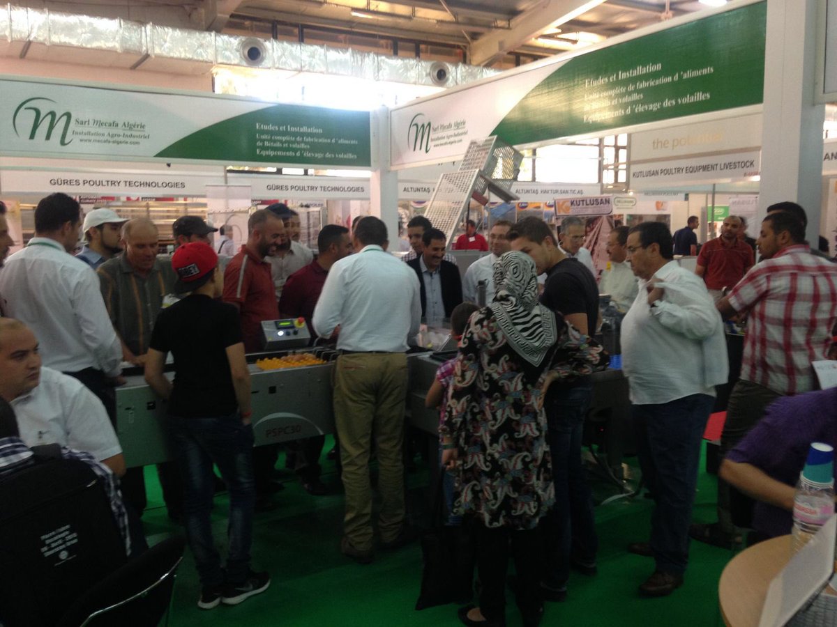 PrinzenBV's tweet image. On our way to Algeria to attend to the Sipsa show. Sure it will be a nice show! Looking forward to it!