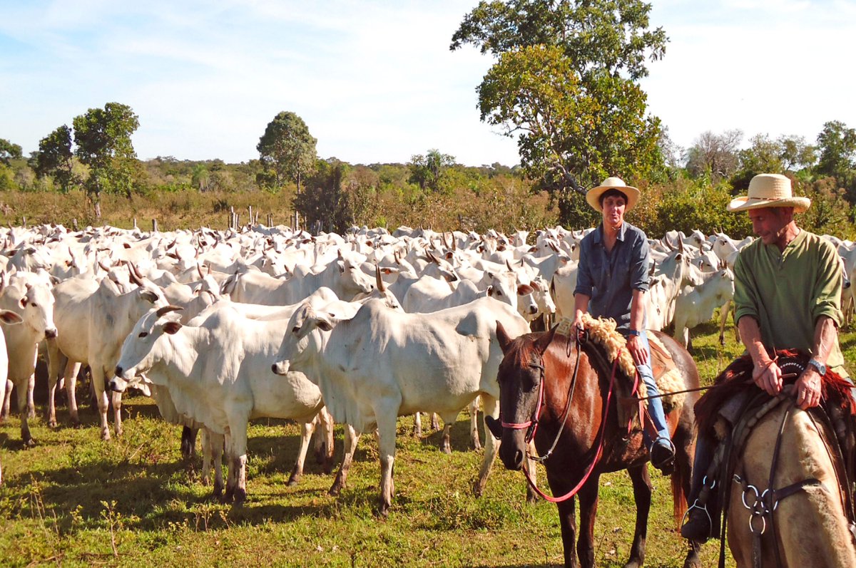 NAJK-Internationaal tweet media