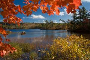 spadaforeoil's tweet photo. Indian Summer is on it's way .Indian summer is a period of unseasonably warm, dry weather #indiansummeronitsway #Spadaforeoil https://t.co/N8PYK1xzyX