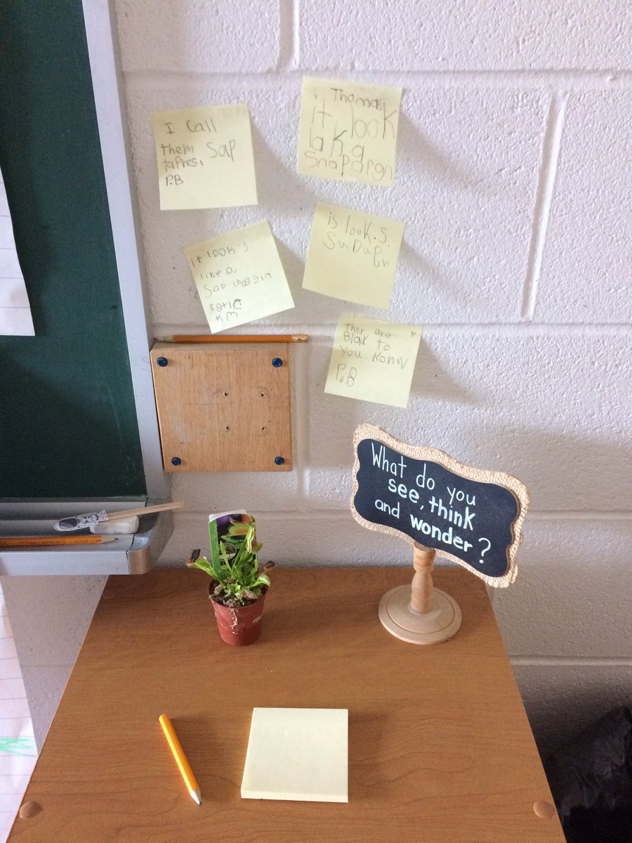Gr2_HT's tweet photo. Grade 2's love provocations too! #sccdsb https://t.co/WKiNSV7R1h