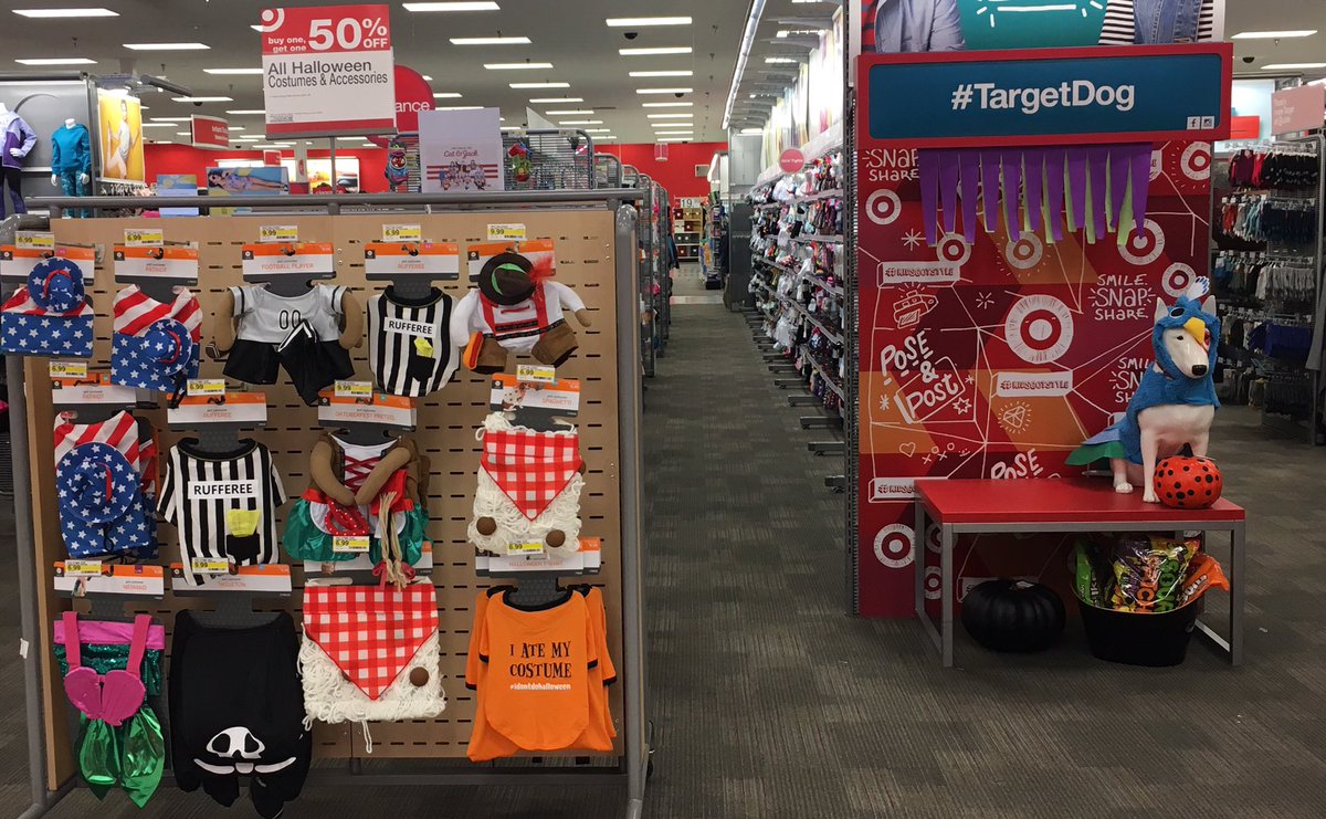 Even spot is ready to show off his costume👻 Happy Halloween #T0823 #ScrappyandDelight