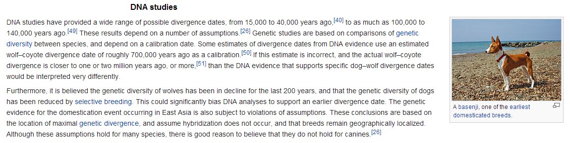 BogiesPetSupply's tweet image. #PetTeethCleaning #PetBathing #PuppyTrainingClassesFremont