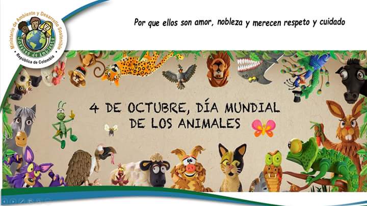 NodoGuacari's tweet photo. #derechoalavidaanimal
#jovenesdeambiente https://t.co/MhlQf88iF3