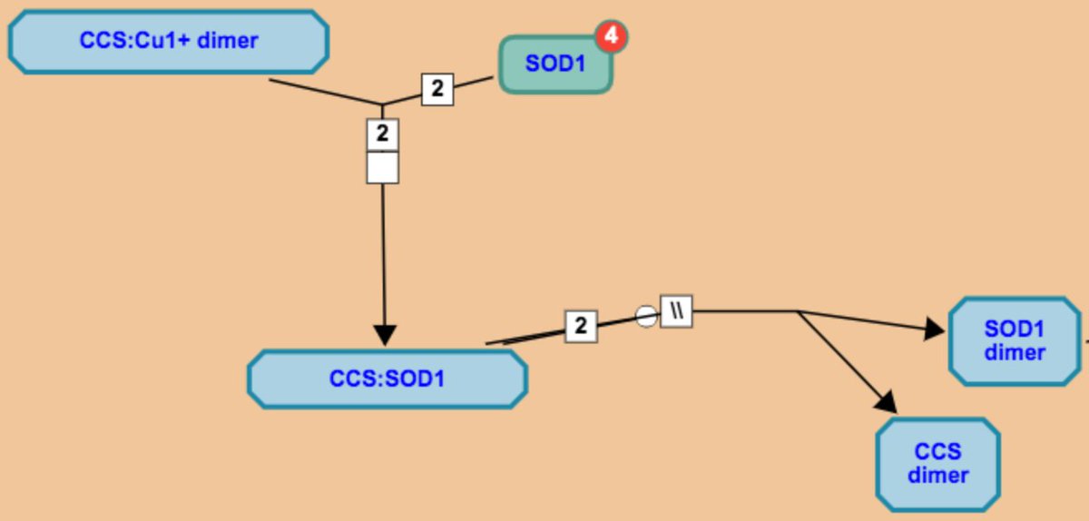 reactome's tweet image. SOD1 involved in Detoxification of Reactive Oxygen Species pwy, goo.gl/44SzKm #Geneoftheweek #ensembl #usereactome