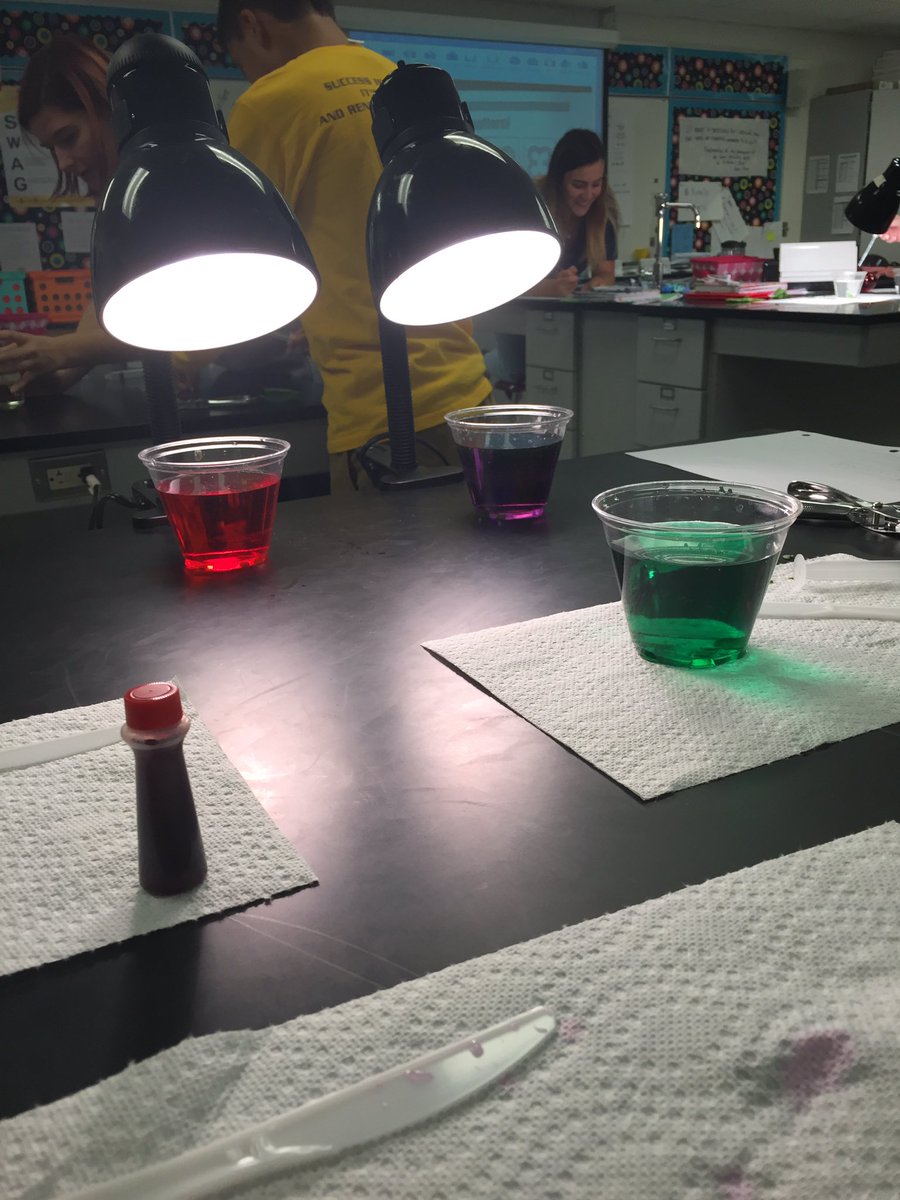 Katie_Greene17's tweet photo. testing the rate of photosynthesis with colored water! @CooperSci @SheltonClass https://t.co/kKlhlP8unp
