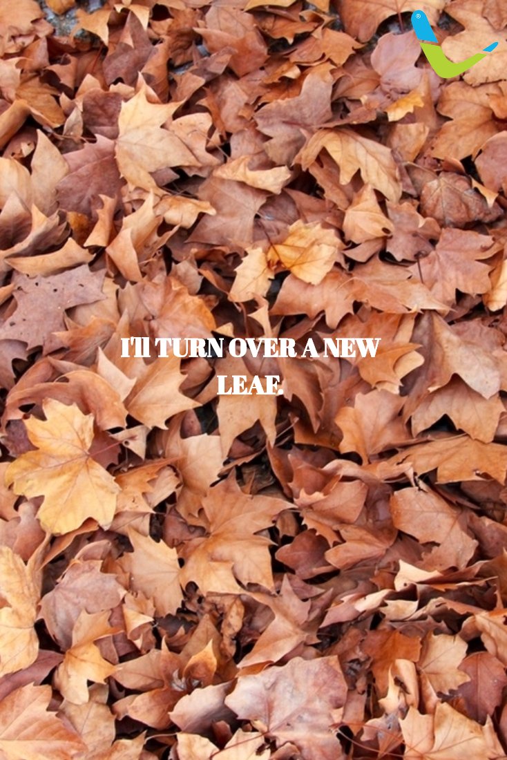 Labels4Kids (@labels4kidsde) on Twitter photo 