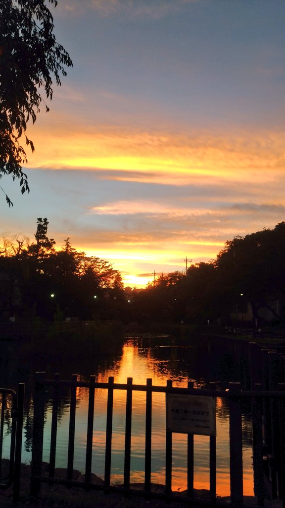 sorairoanzu's tweet photo. #スマホ
#夕焼け空
#写真好きな人と繋がりたい 
#学校付近 https://t.co/RRR1ApY73s