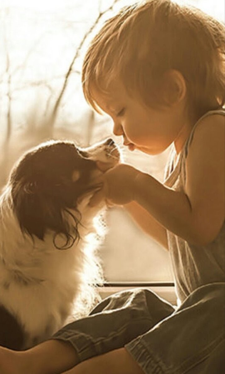 Пес любовный аромат. Собака для детей. Щенок для детей. Малыш и собака. Любовь собак к детям.
