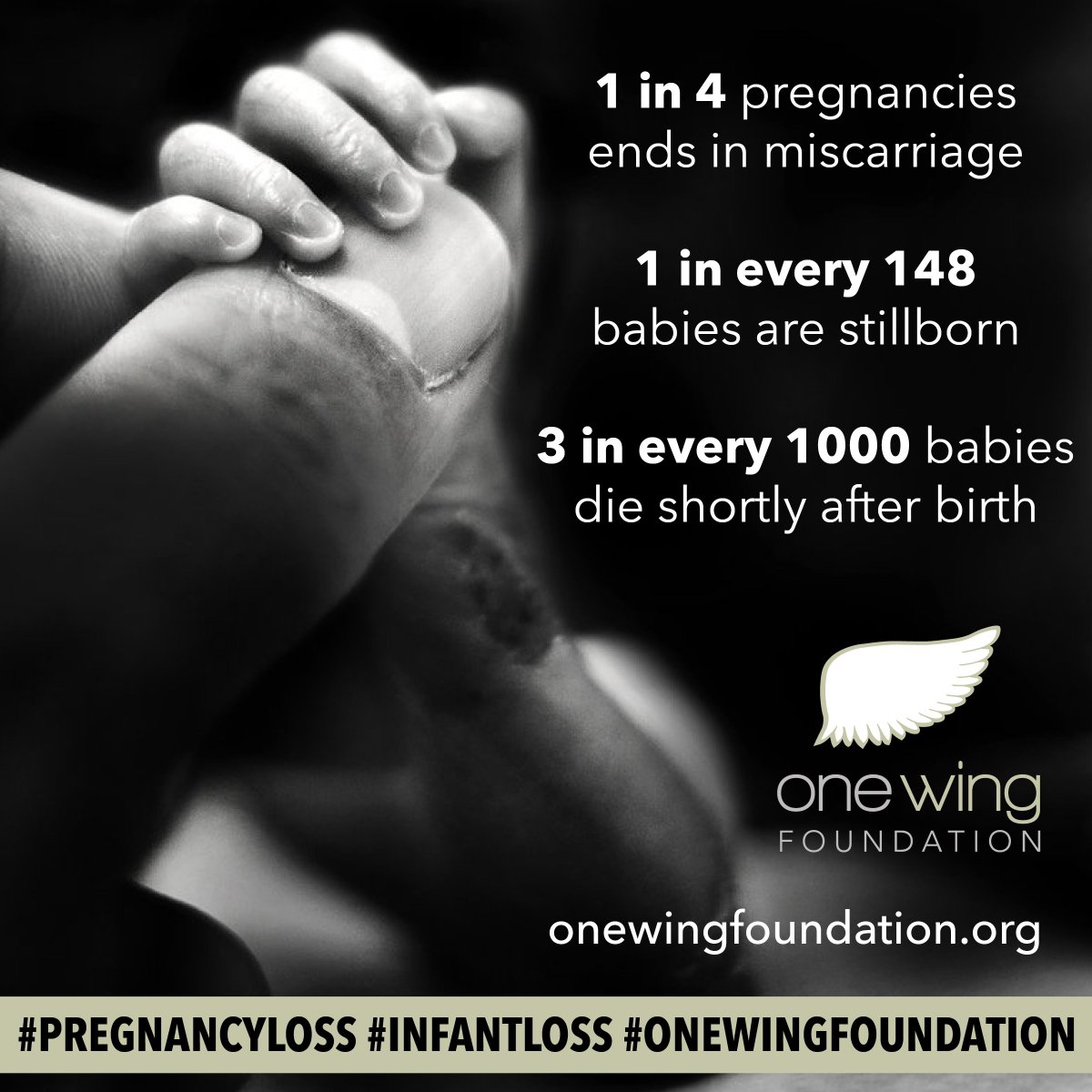 onewing_found's tweet photo. Help us continue to bring awareness to #pregnancyloss and #infantloss during the month of October. Let's end the stigma. #onewingfoundation https://t.co/hbmVSCHogQ