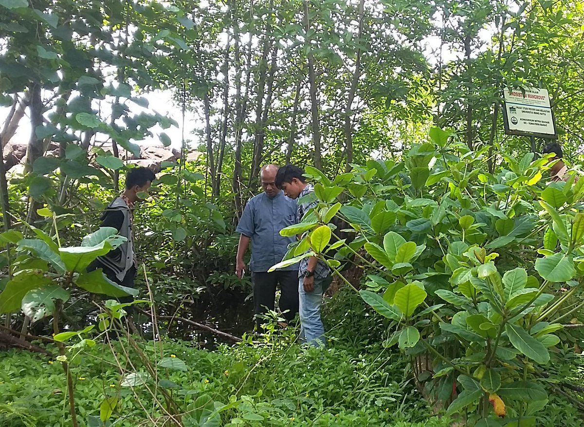 Gubernur dan wagub berdiskusi deng Bpk 'Eni Kamal' tentang kawasan konservasi mangrove di belakang kampus I UBH.