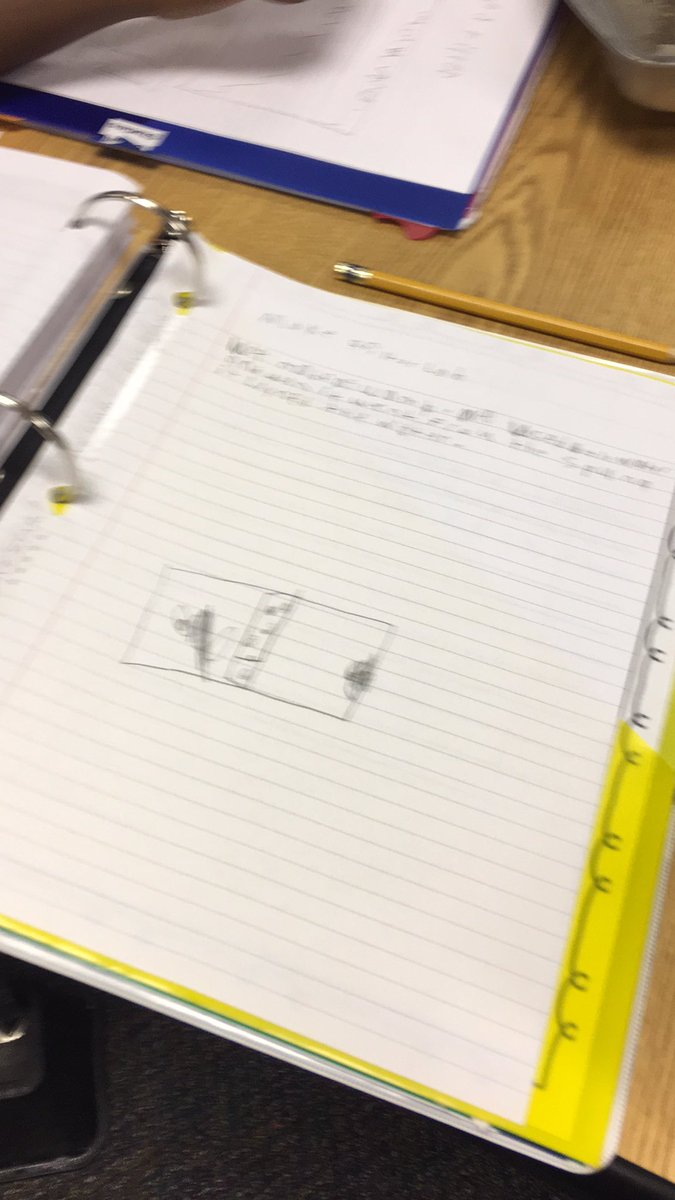 SankerDiane's tweet photo. Science Lab "Question: Do we need the Swamp? #engagedandexcited=lifelonglearners https://t.co/2brYz7WTBX