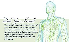 LymphedemaMB's tweet image. Share 1 day-to-day living with lymphedema tips #LymphTips
