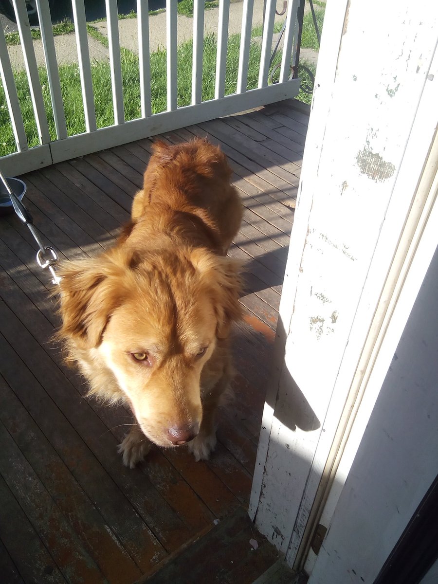 Dakota wolfgar (@doughenry16) on Twitter photo 