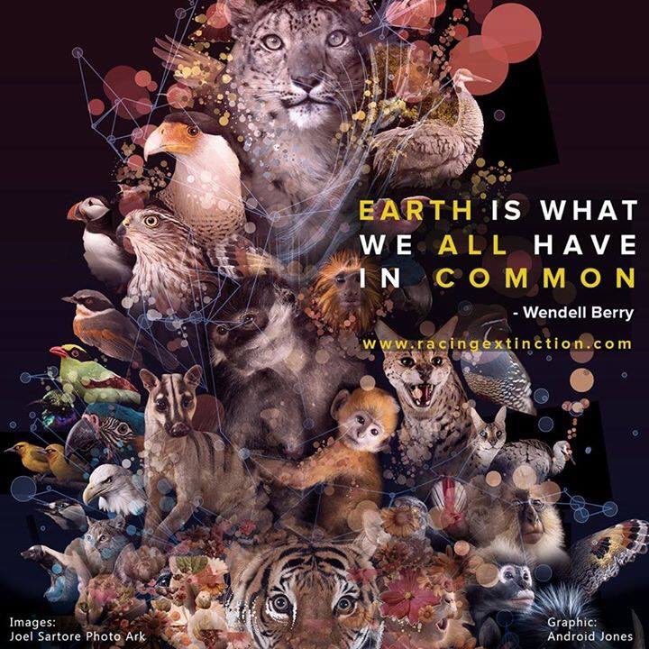 RacingXtinction's tweet photo. RETWEET if you think EVERYDAY should be #WorldAnimalDay ❤️ https://t.co/kEIO8nqCG4