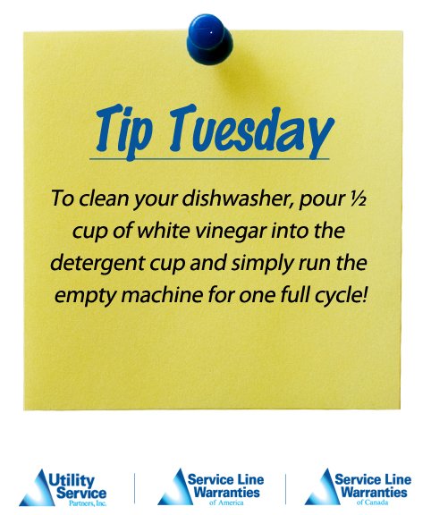 #TipTuesday