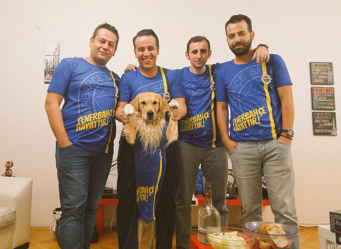 enyssoundlab's tweet photo. Onlar bizim dostumuz, koruyalım! #4EkimHayvanlarıKorumaGünü #Fenerbahçe https://t.co/lbrIWsxLy2