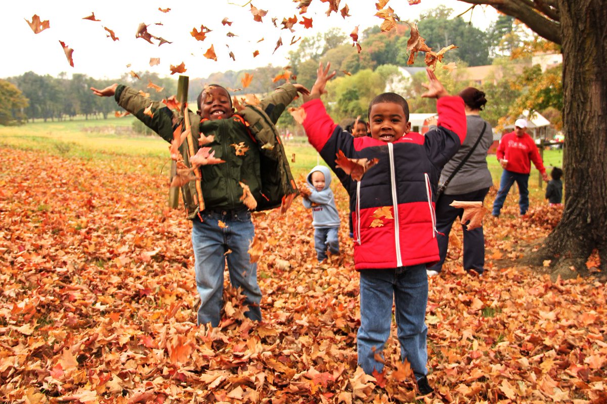 PhilaParkandRec's tweet photo. This weekend: Don't miss Applefest, HarvestFest, the Woodford Mansion Apple Festival, #FallFamilyFunDays and more: https://t.co/WilrP7KPQg https://t.co/6SWDKloDZM