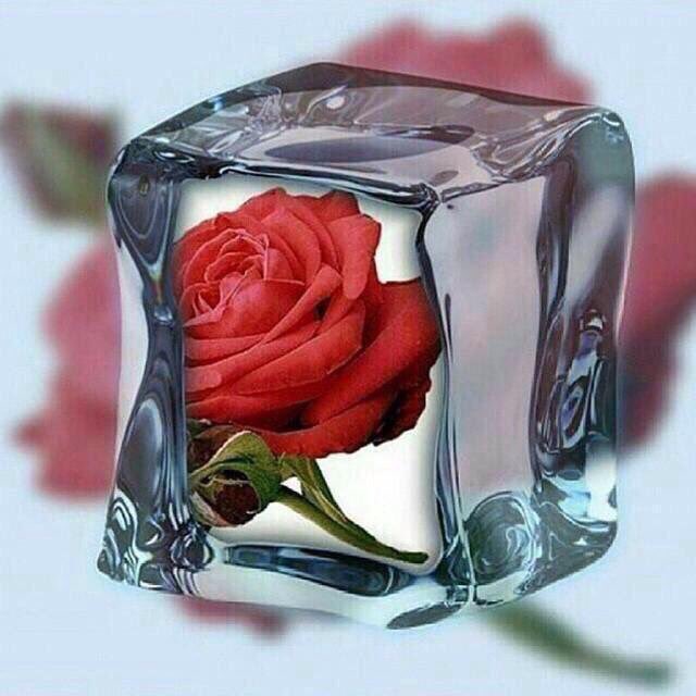 Saaamaalamal's tweet photo. الحمدلله ، على أبسط النِعم وأعظمُها https://t.co/1TP2izEOq7