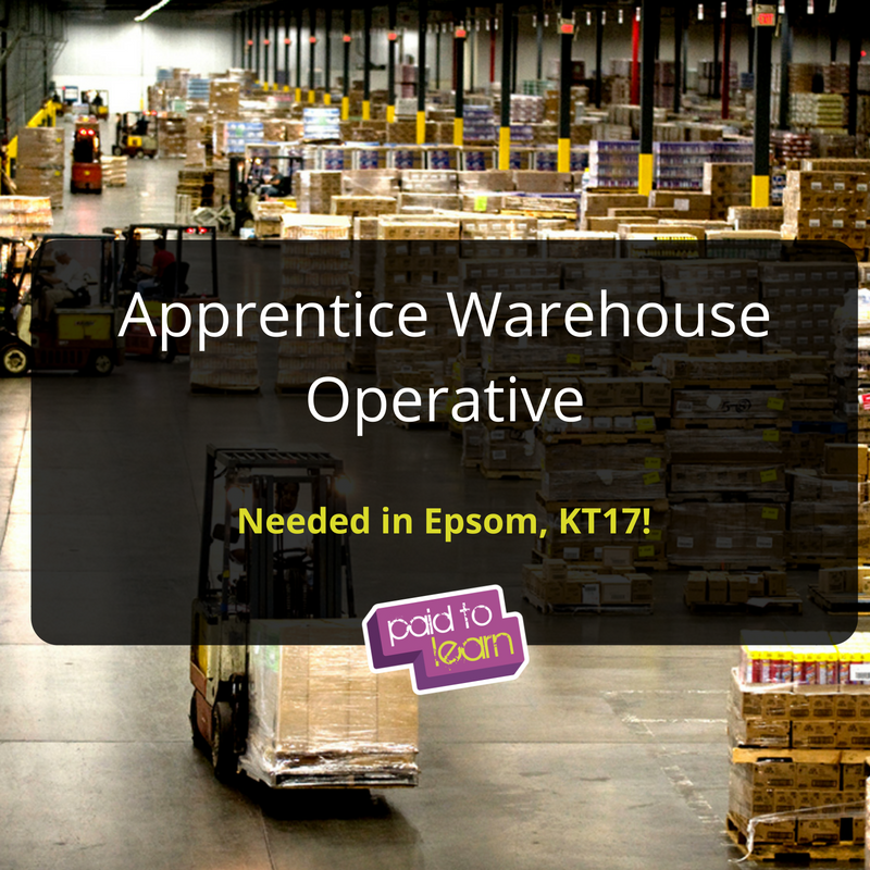 PosOutLaurenM's tweet photo. #Apprentice Warehouse Operative, needed in #Epsom! Apply here - https://t.co/J0NTKUFbp3 or contact @PosOutBen https://t.co/Z7ttjMlomI