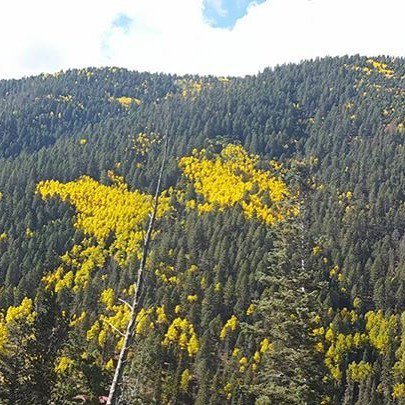 The butterfly is looking gorgeous!
#RedRiverNM #NewMexicoTRUE #NoFilter #NoFilterNeeded #B… ift.tt/2dHhpd3