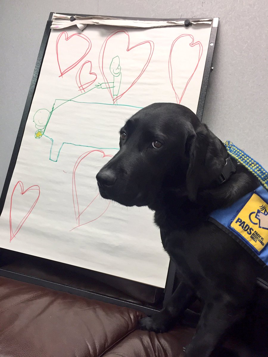 PADSk9Merlot's tweet photo. You know you're loved when you get a picture like this from a child #forensicchildinterviews #childabuse #rcjc @reginapolice @PADSdogs #yqr https://t.co/O6ZerVmTiQ