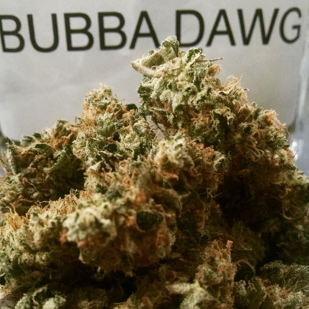 StoniesLLC's tweet photo. Bubba Dawg Is Back!
23.5% THC
$14/G
#STONIESLLC #THC #ganja #dispensaries #cannabisculture #joints #hightimes #cannabis #ommp #dankydank https://t.co/EUq6FMVLwd