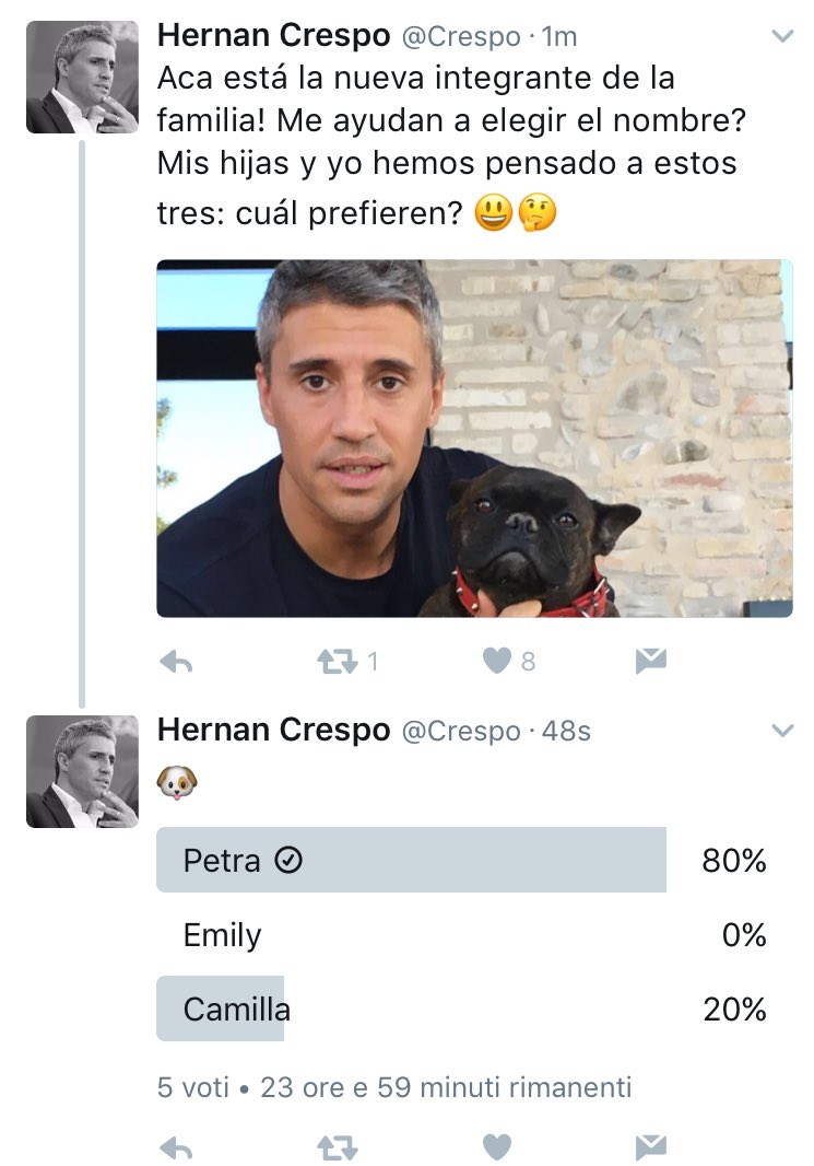 MAX SARDELLA tweet media