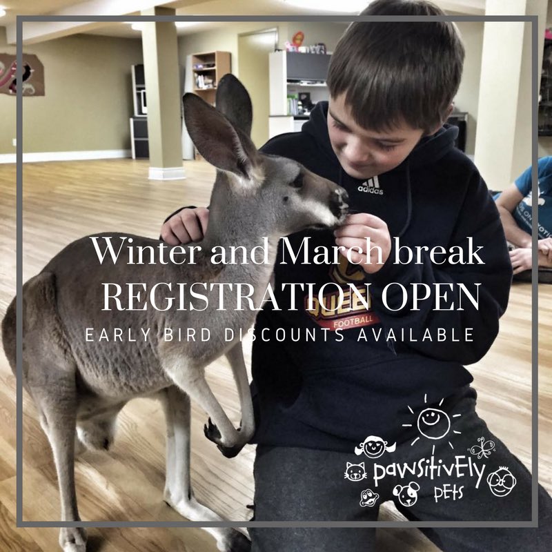 The Zoo Crew tweet media