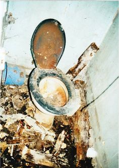 Грязному туалету - грязный секс