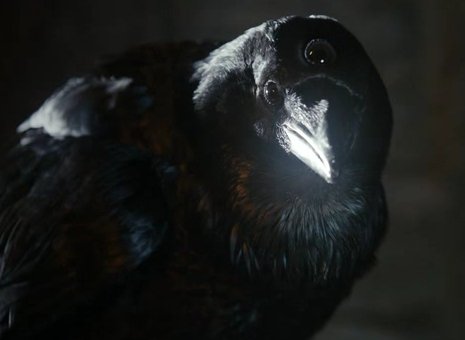 GameofTynwald's tweet photo. 'Game over. Cu in 5 years for next episode: Team Tynwald or Rise of Ragnarök', The 3-eyed-raven #IOM #IsleofMan #GoT #iomelection2016 https://t.co/fTBLZzsL9n