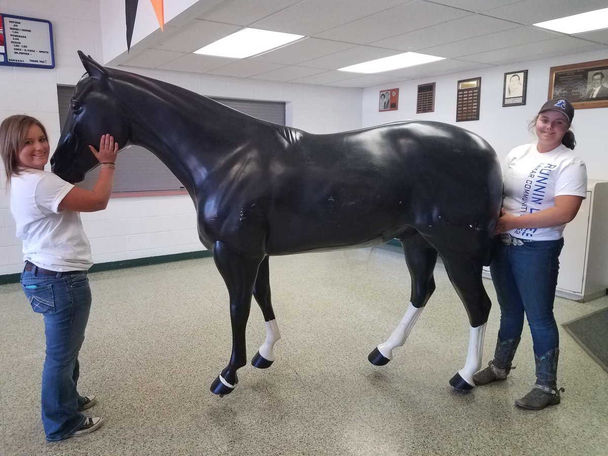 YEs, that's a life-size horse @LamarComCollege students are carrying! They just told HS students from #YouthEngagementDay about their career